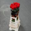 Schnittblumen Schweiz - Introduction - Red Naomi Supra 80 cm