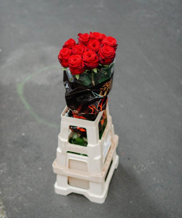 Schnittblumen Schweiz - Introduction - Red Naomi Supra 80 cm