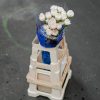 Schnittblumen Schweiz - Introduction - Carnations Brut