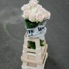 Schnittblumen Schweiz - Introduction - Sweet Avalanche 80 cm