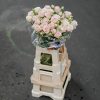 Schnittblumen Schweiz - Introduction - Cluster Rose Pepita