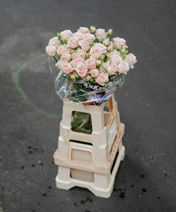 Schnittblumen Schweiz - Introduction - Cluster Rose Pepita