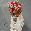 Schnittblumen Schweiz - Introduction - Eustoma Arosa Red