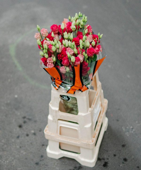 Schnittblumen Schweiz - Introduction - Eustoma Arosa Red