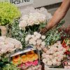 Schnittblumen Schweiz - Introduction