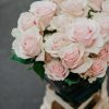 Schnittblumen Schweiz - Introduction -Rose Ecuador Pink Mondial