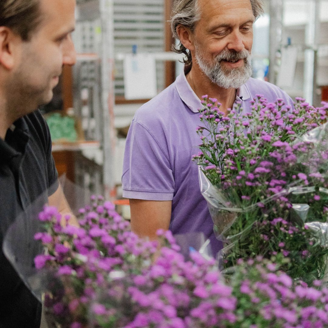 Verboon Fleurs Flowers Blumen