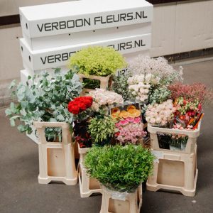 Introduction Package Offer schnittblumen