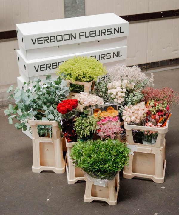 Introduction Package Offer schnittblumen